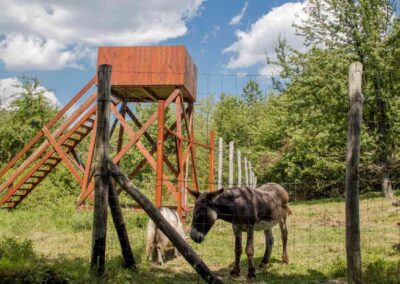 Mátraszentimrei Állatpark