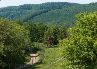 Mátraszentimrei Állatpark kilátója